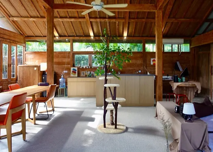 Spacious Family & Office Canggu, With Cats * Canggu