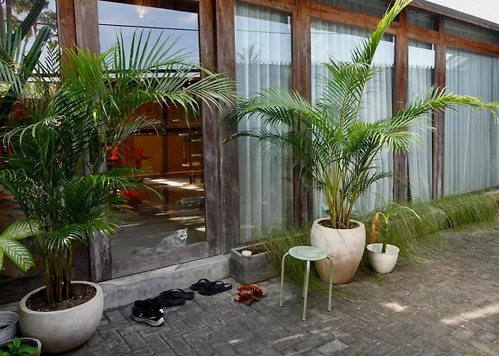Ferienhaus Spacious Family & Office Canggu, With Cats *