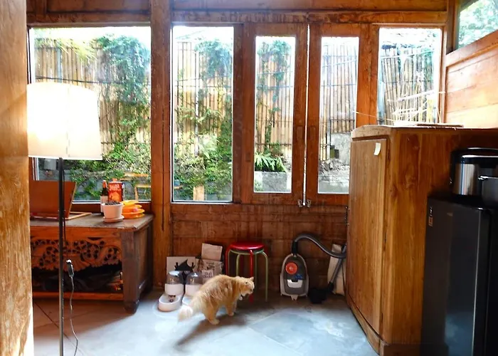 Spacious Family & Office Canggu, With Cats